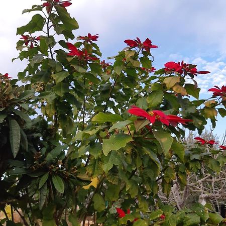Casa Le Gebbie Villa Marzamemi Dış mekan fotoğraf