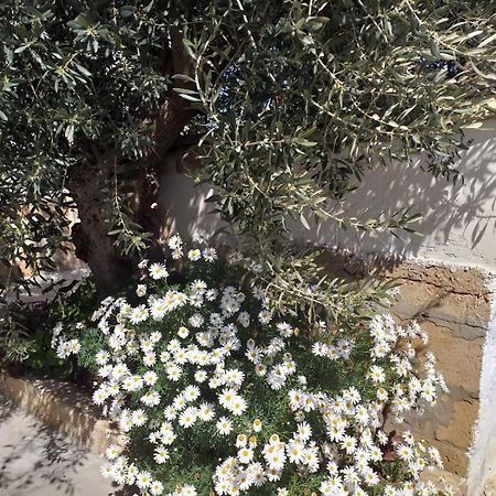 Casa Le Gebbie Villa Marzamemi Dış mekan fotoğraf