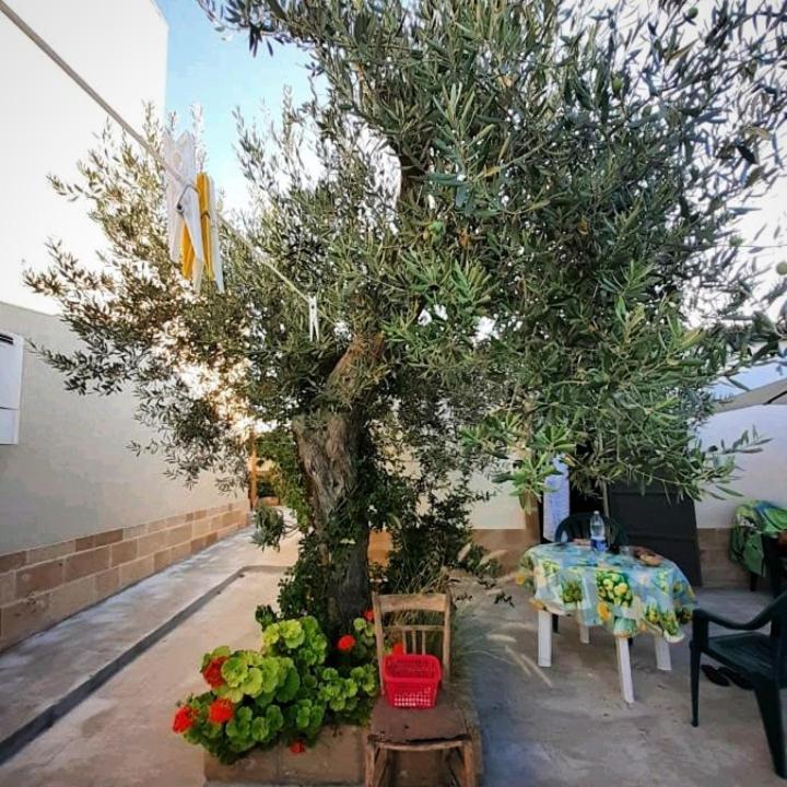 Casa Le Gebbie Villa Marzamemi Dış mekan fotoğraf