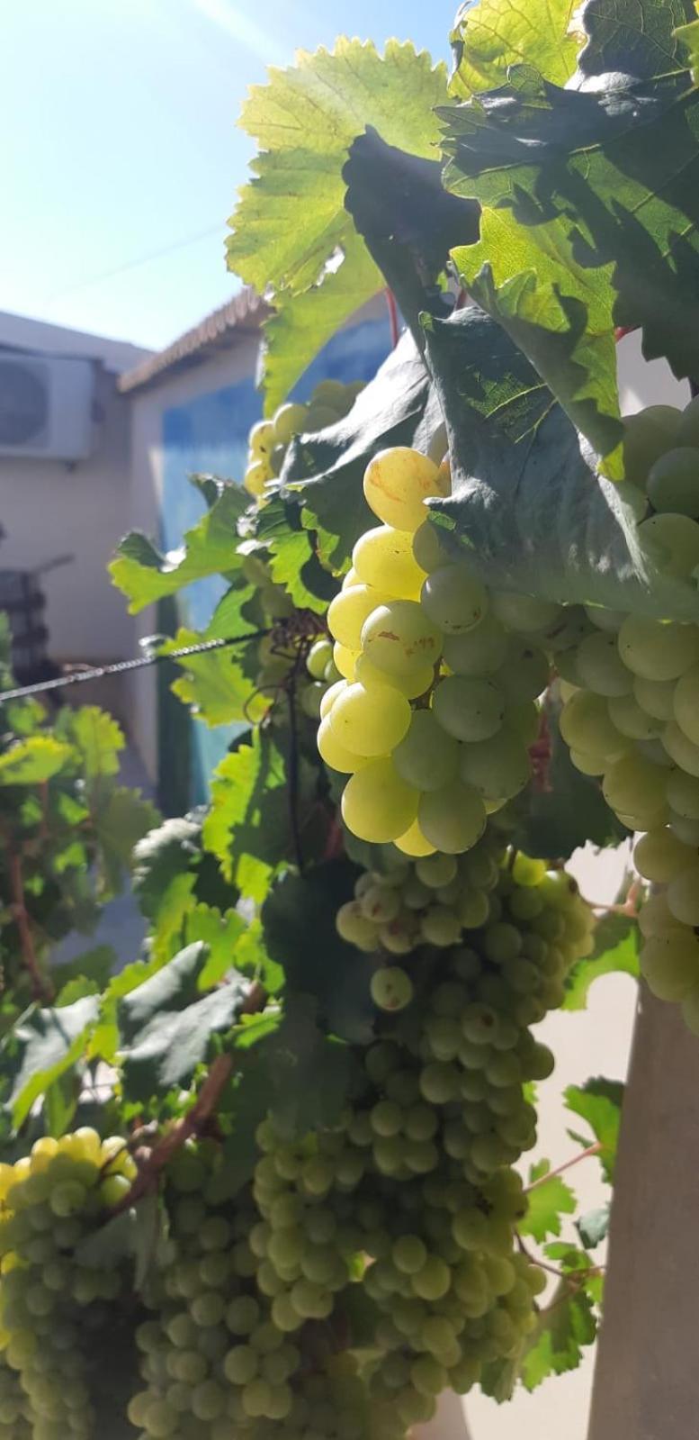 Casa Le Gebbie Villa Marzamemi Dış mekan fotoğraf